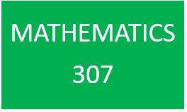 307 
